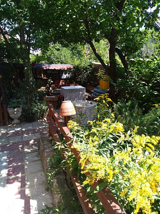 Appartement Durmitor à Kumanovo Extérieur photo