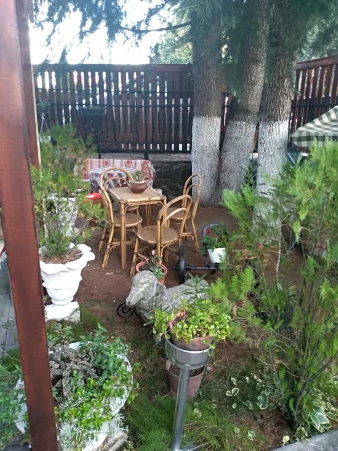 Appartement Durmitor à Kumanovo Extérieur photo